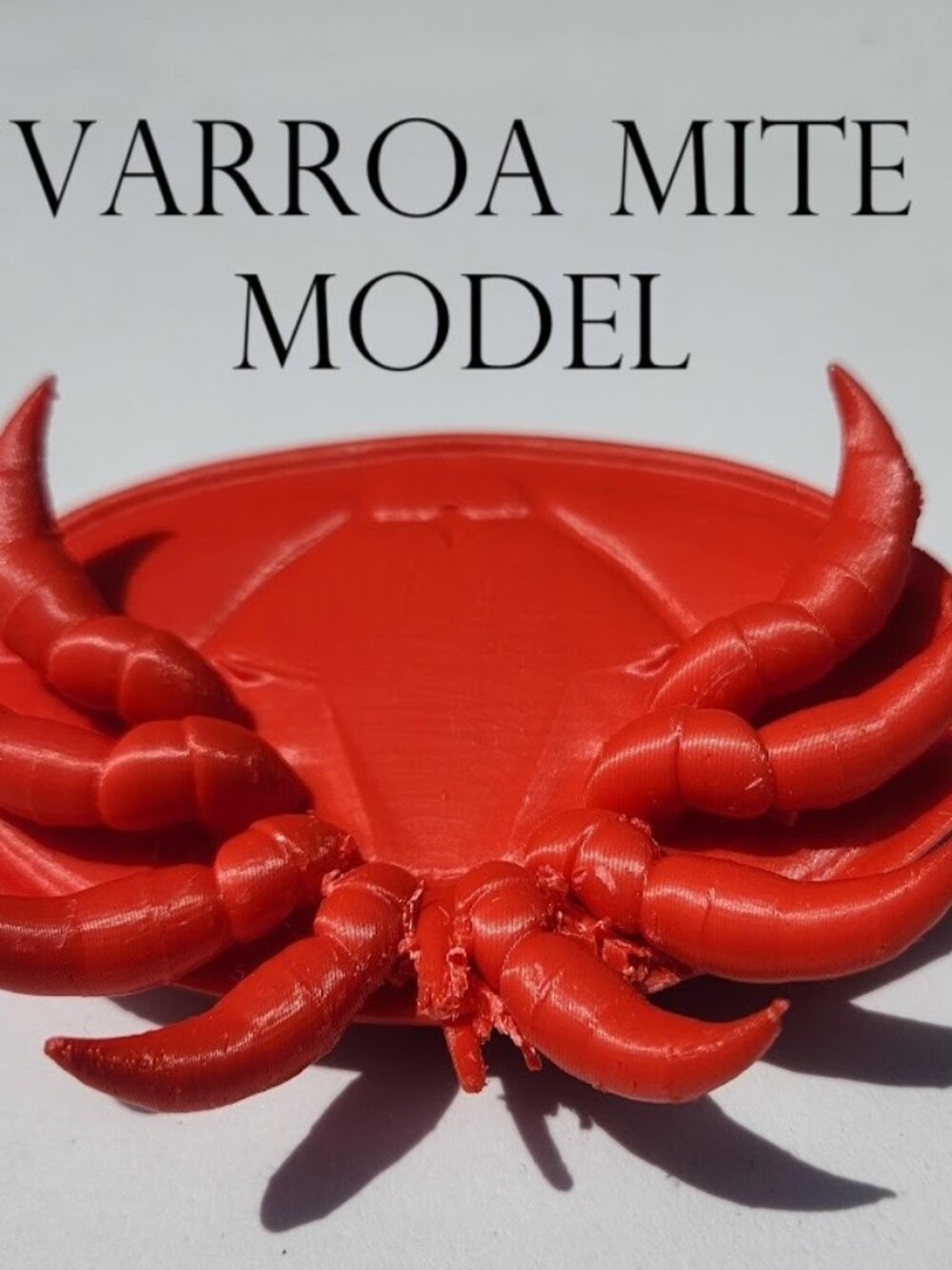 Varroa Mite Varoa Destructor Bug Insect Model Beekeeping Honeybees Bee Save the